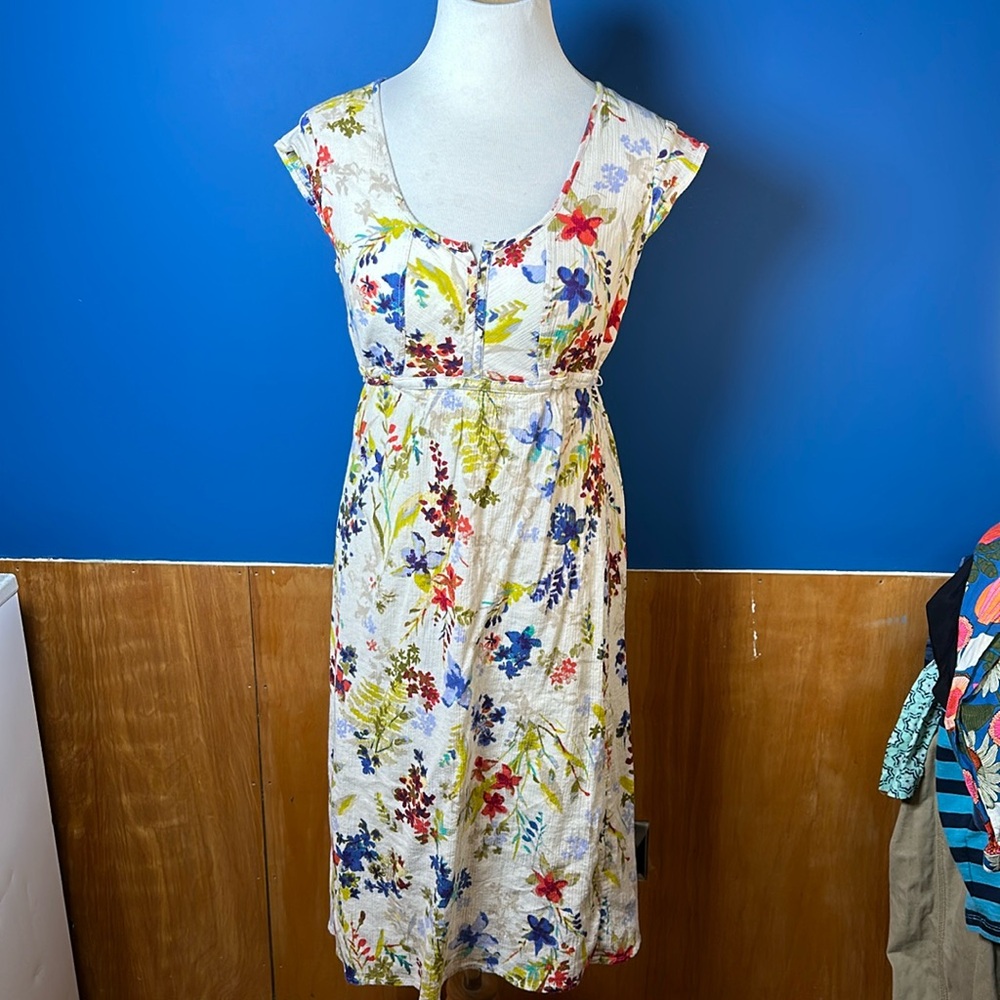 Eddie Bauer dress